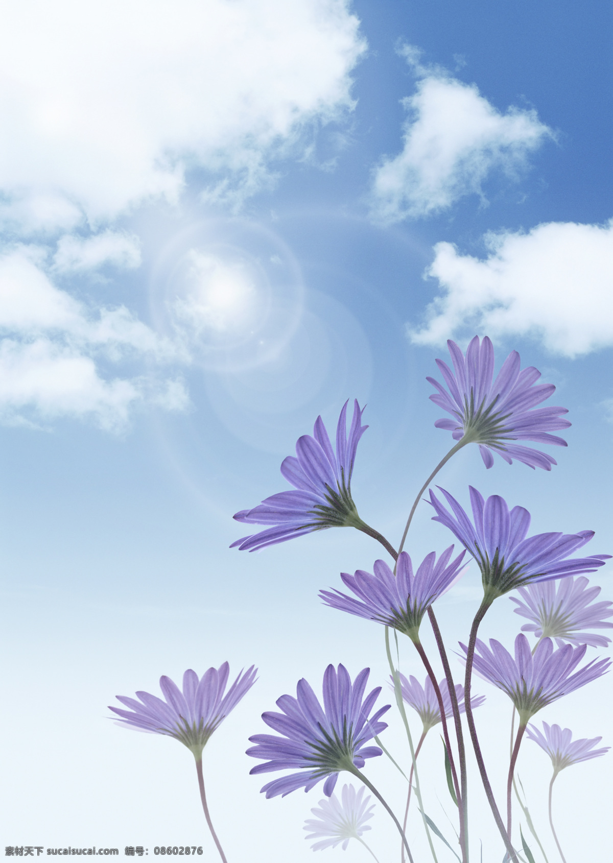 天空 阳光 白云 花 自然景观 自然风光 设计图库