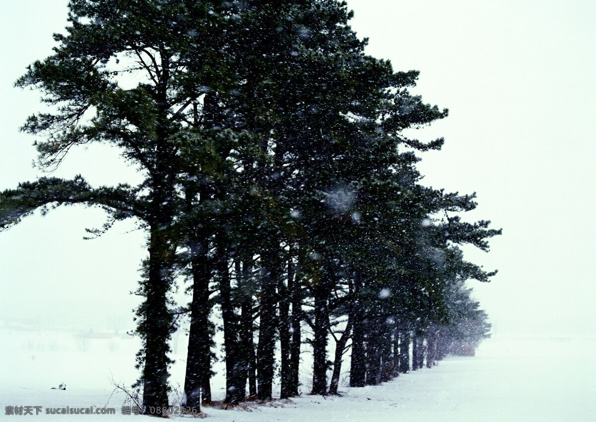 冰雪 景象 雪 冰雪摄影 冰雪景象 雪岭 风景 生活 旅游餐饮