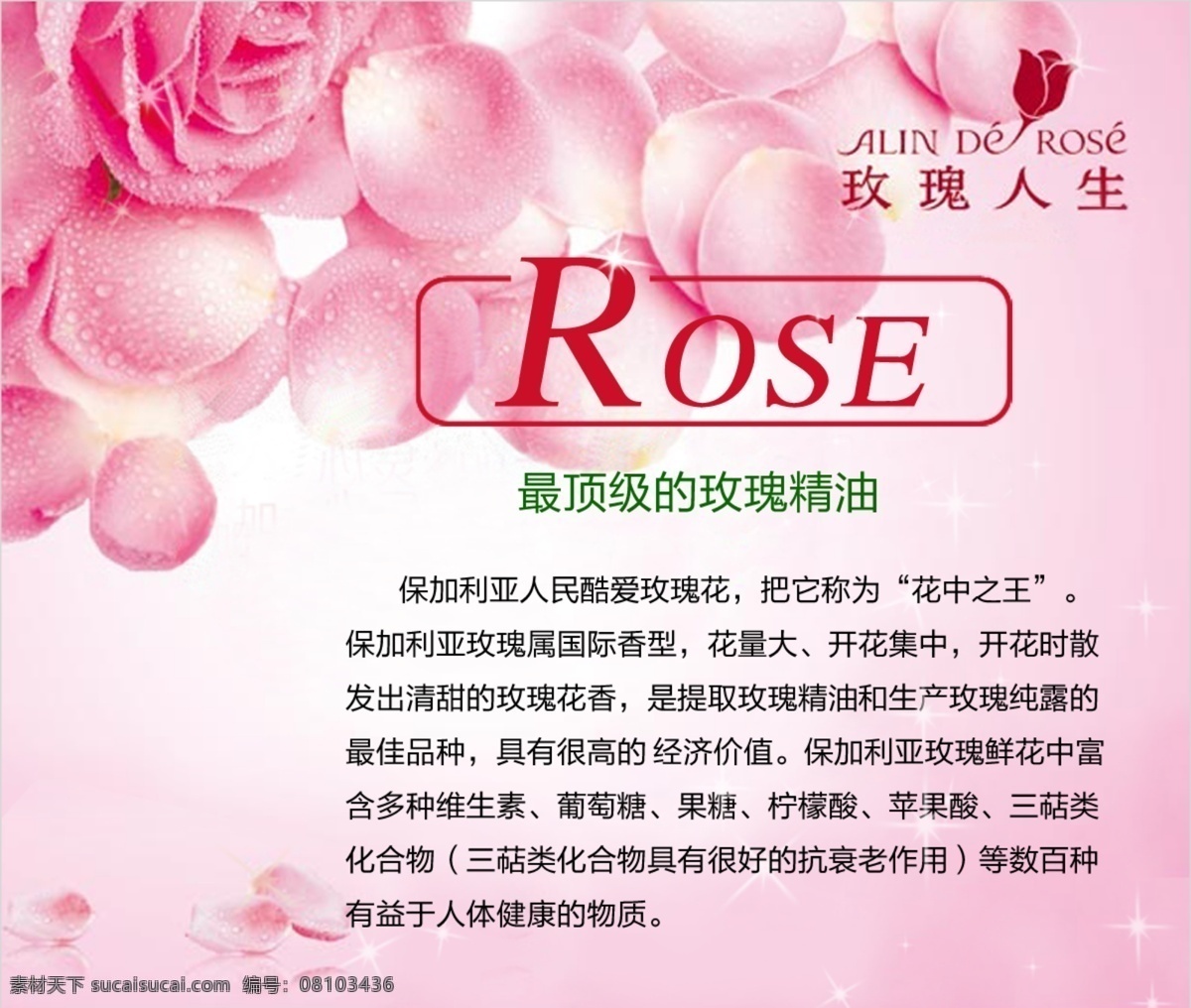 玫瑰 玫瑰精油 嫩白 保湿 消斑 抗衰老 防皱 精油之后 邦 维 丝 纯 植物 精华 女人伴侣 分层 源文件