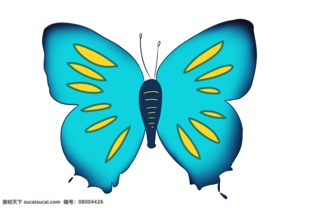 蓝色 蝴蝶 卡通 插画 蓝色的蝴蝶 卡通插画 动物插画 蝴蝶插画 动物蝴蝶 昆虫 益虫 好看的蝴蝶