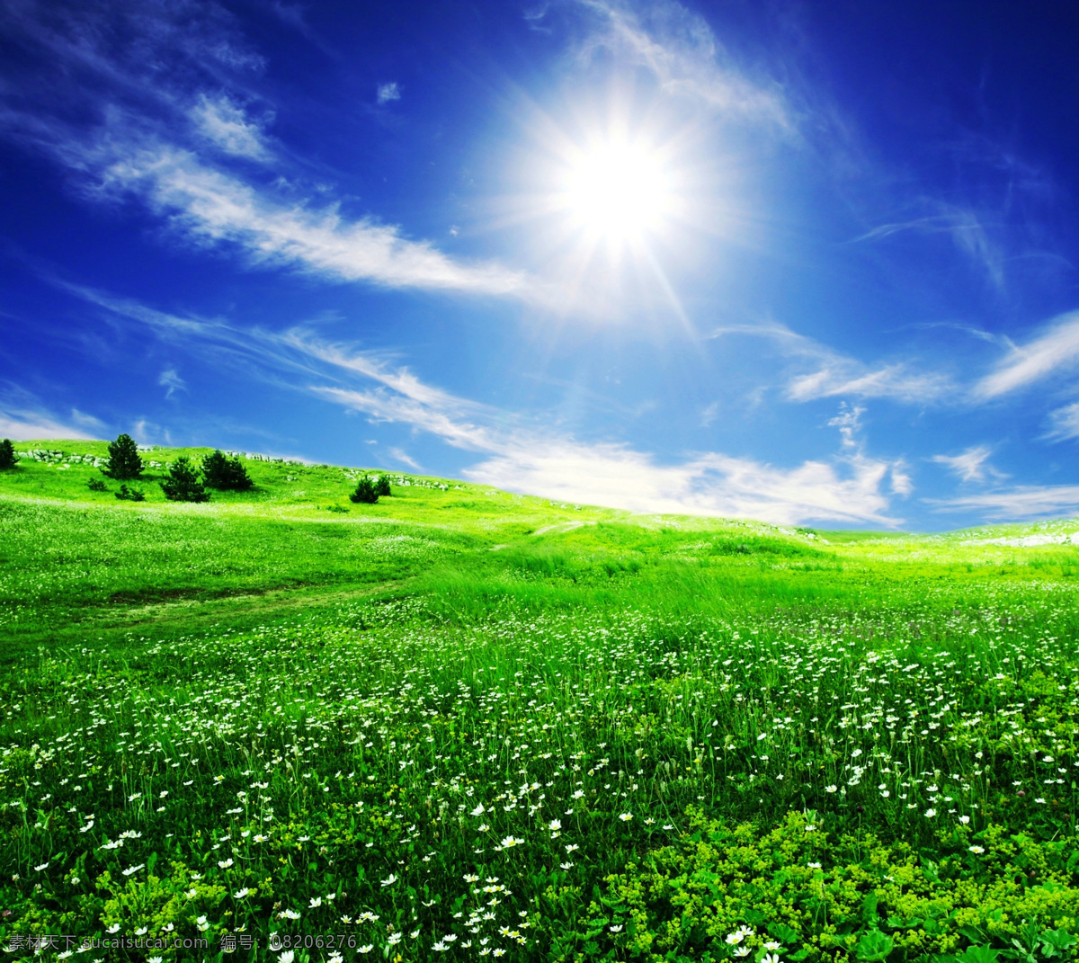 蓝天草地 摄影素材 风光摄影 风景 美丽景色 蓝天 天空 白云 日光 太阳 草地 绿地 野花 风光图片 自然风光摄影 自然风景 自然景观