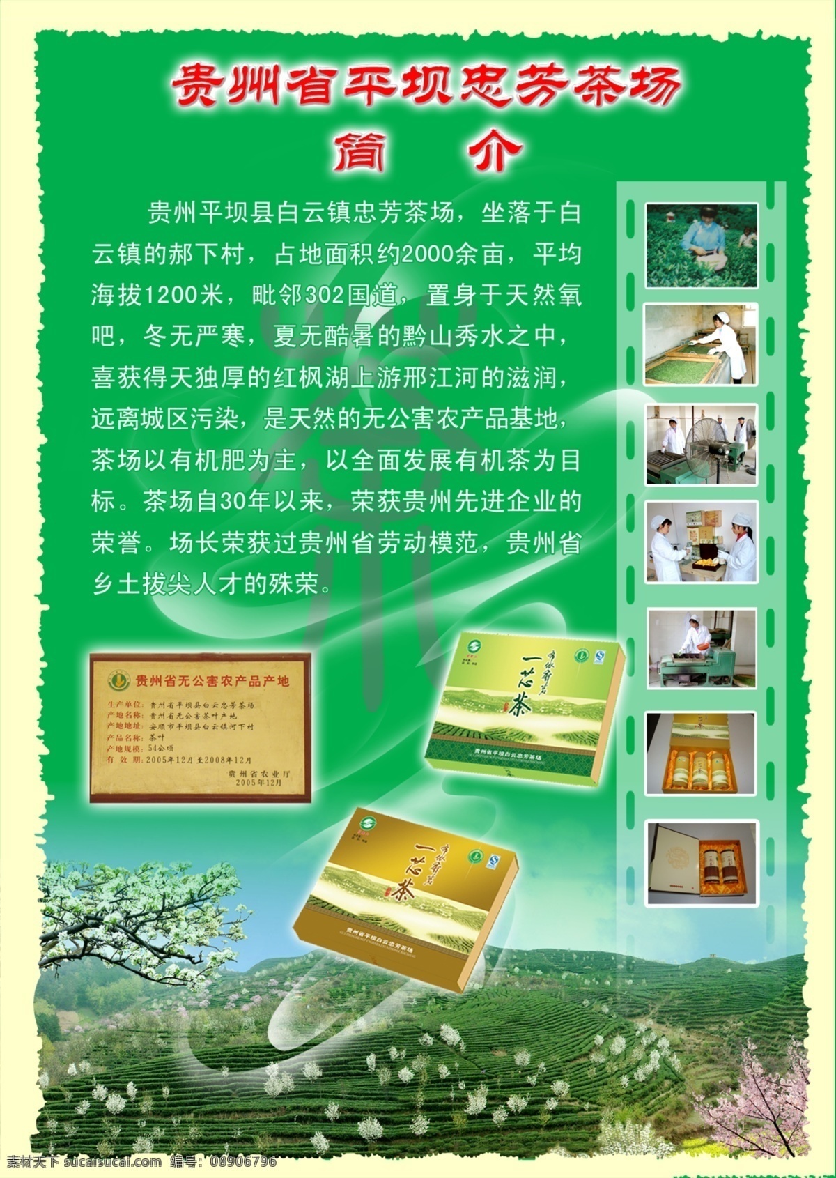 分层 背景素材 边框 茶 茶包装 茶园 底纹 风景画 传单 模板下载 茶传单 烟 中文字体 源文件 家居装饰素材 山水风景画