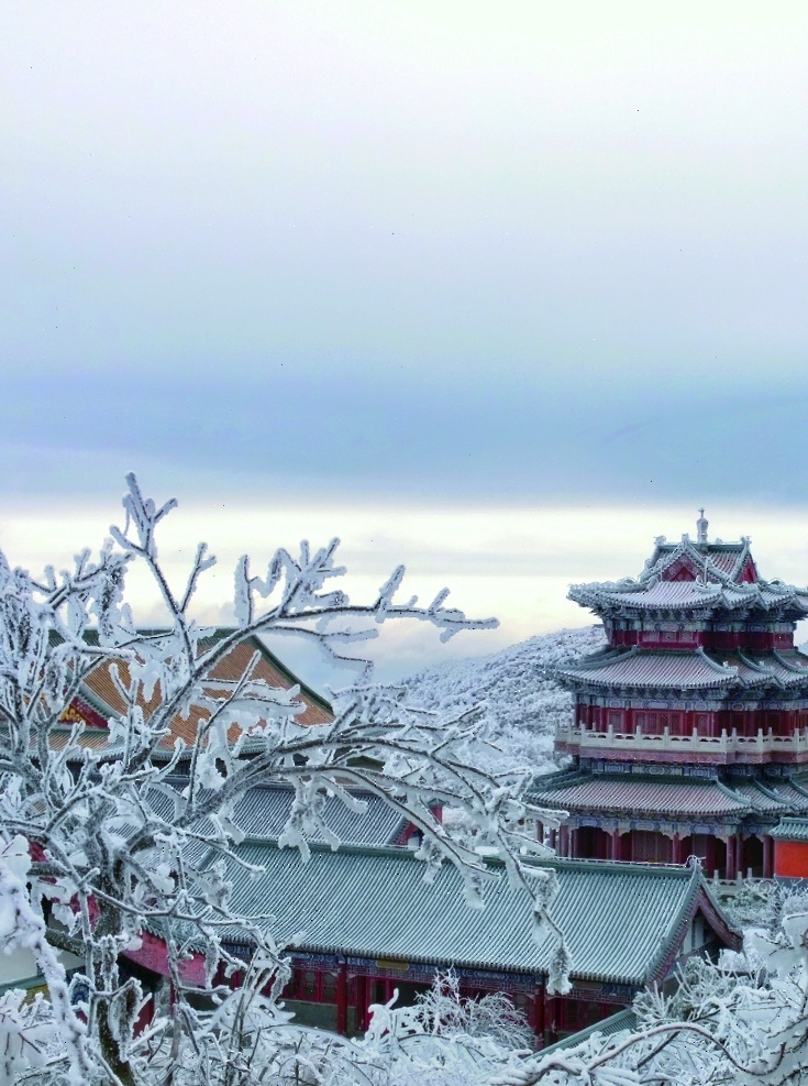 冬天背景 冬季背景 冬季雪景 白雪皑皑 树林雪地 冬季 冬季美景 冰天雪地 冬季新品