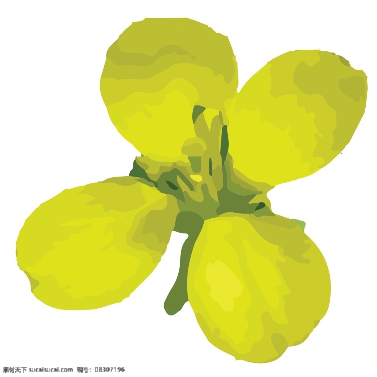 四 瓣 油菜花 免 抠 图 蝴蝶湖 免扣蝴蝶湖 花朵 卡通花朵 黄色 蝴蝶花