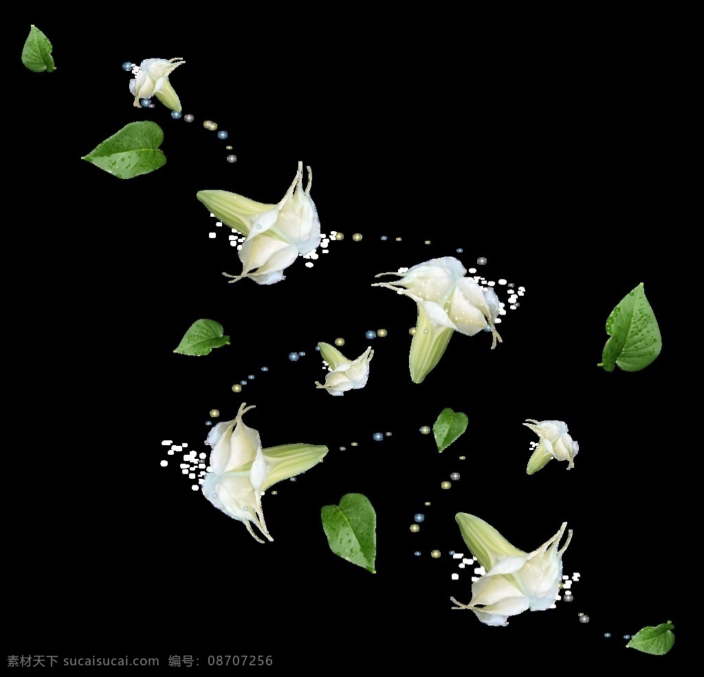 花朵叶子 花朵 叶子 白色花 灯笼花 喇叭花 花草 生物世界