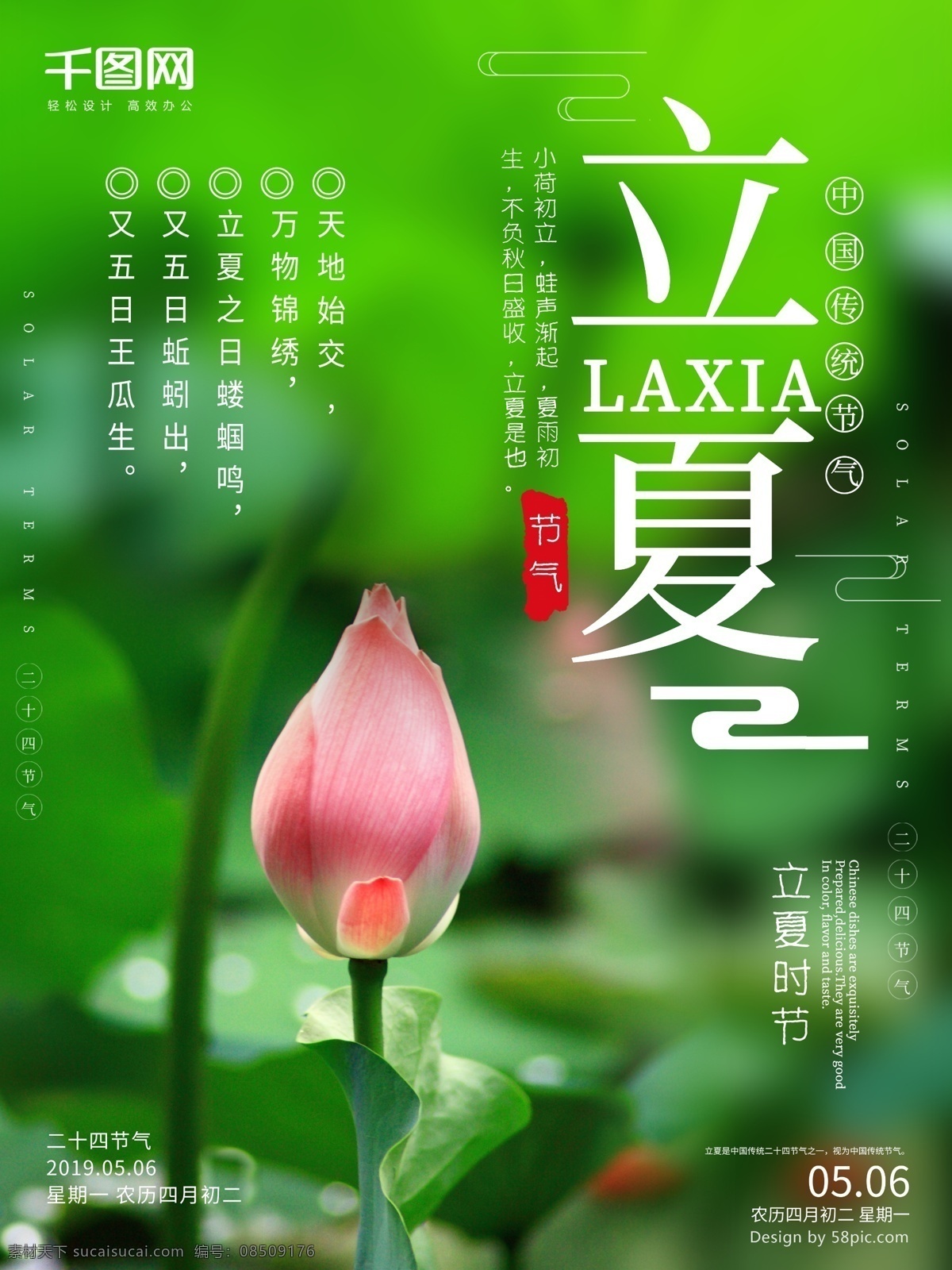 立夏 传统 节气 海报 夏天 荷花