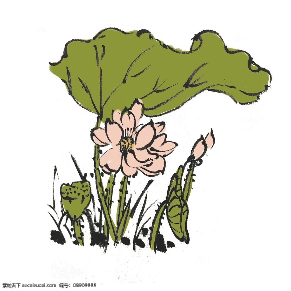 中国 风 夏 荷荷 花 荷叶 手绘 插画 中国风 动物 古风 水墨风 墨迹 夏季 彩色 昆虫 春天 生动 花草 国风 水墨 国画 花鸟 小景