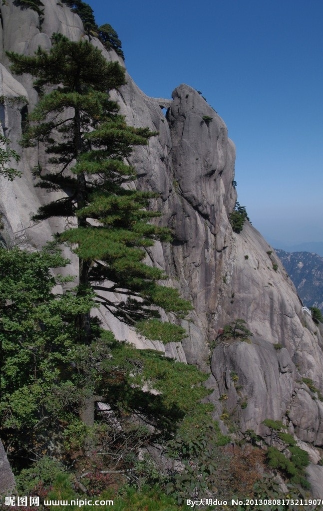 黄山松 安徽 黄山 松树 奇松 蓝天 巨石 怪石 石头 国内旅游 旅游摄影