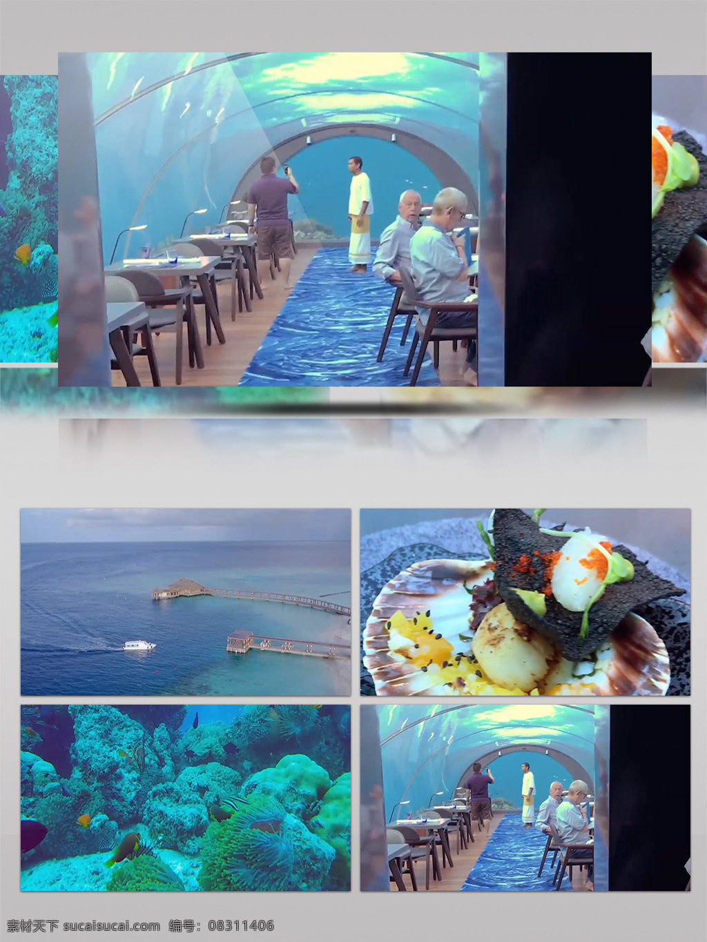 马尔代夫 海底 餐厅 实拍 标题 抽象 动感 动画 风景 节奏 旅游 片头 时尚 视频 图形 文本 线条