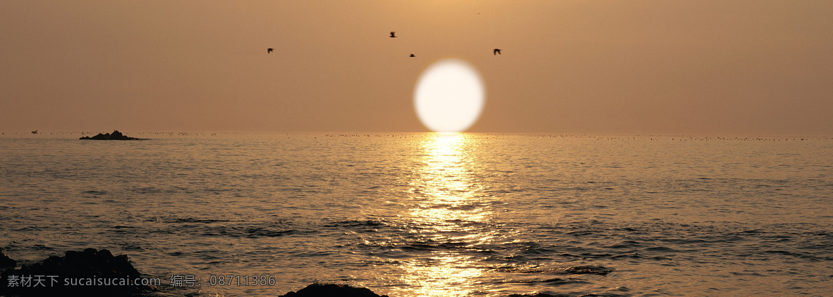 海边 海鸥 海上日出 海水 海滩 礁石 金黄色 落日 日出 夕阳红 太阳 旭日东升 水天相接 潮汐 阳光 日出东方 海边日出 夕阳 自然风景 自然景观 psd源文件