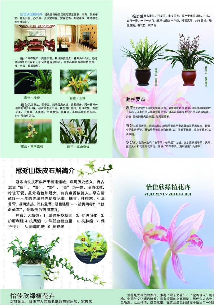 花卉彩页 花店彩页 鲜花 种植 彩页 花卉 盆景 绿色背景 dm宣传单 花卉册子 花店册子