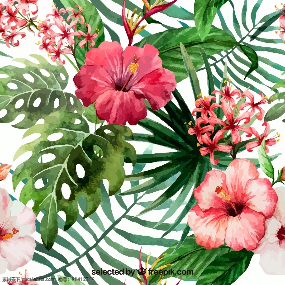 红色 朱槿 花 矢量 朱槿花 花卉 花朵 鲜花 植物 叶子 绿叶 彩绘 水彩 插画 背景 海报 画册 矢量植物 生物世界 花草