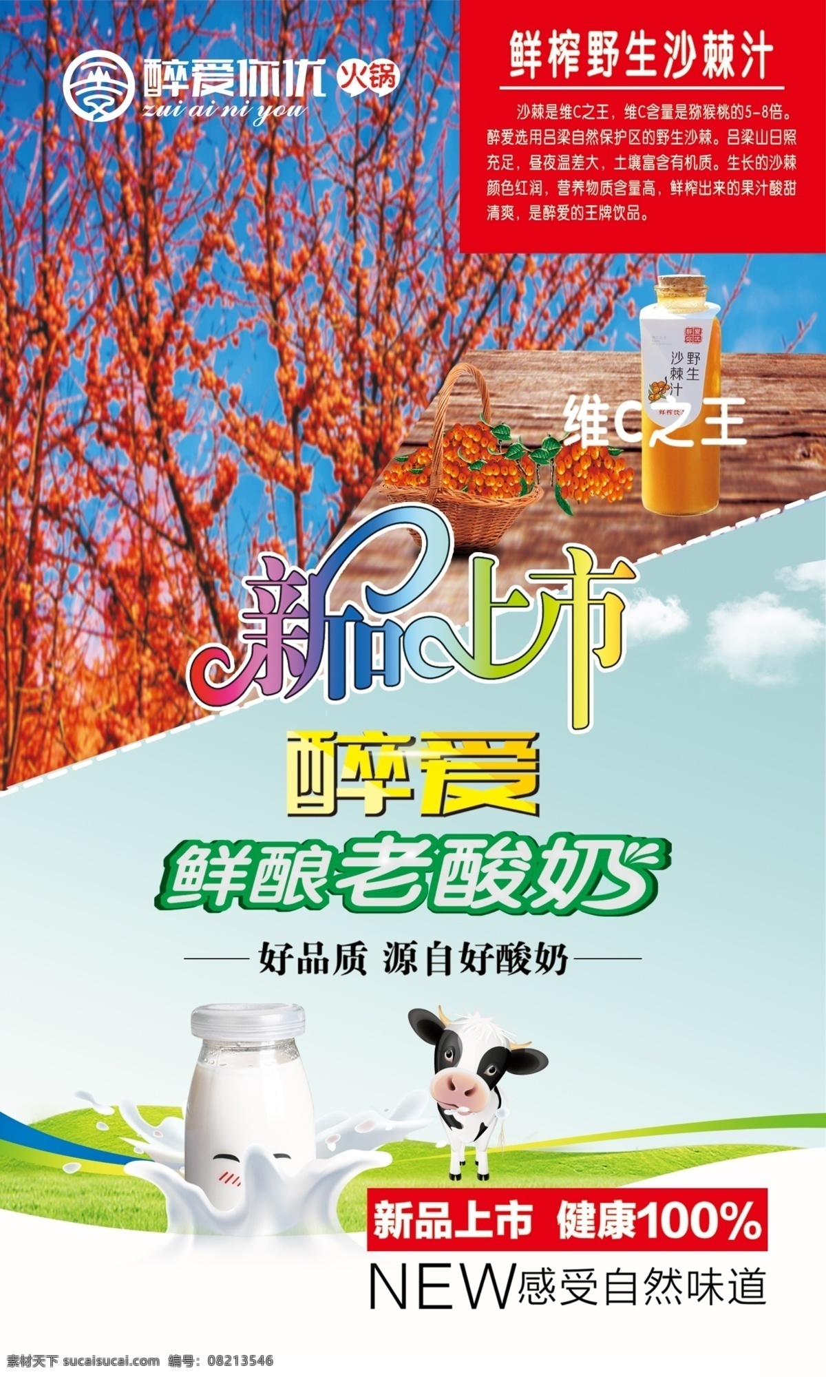 沙棘汁 酸奶 牛 牛奶 新品上市