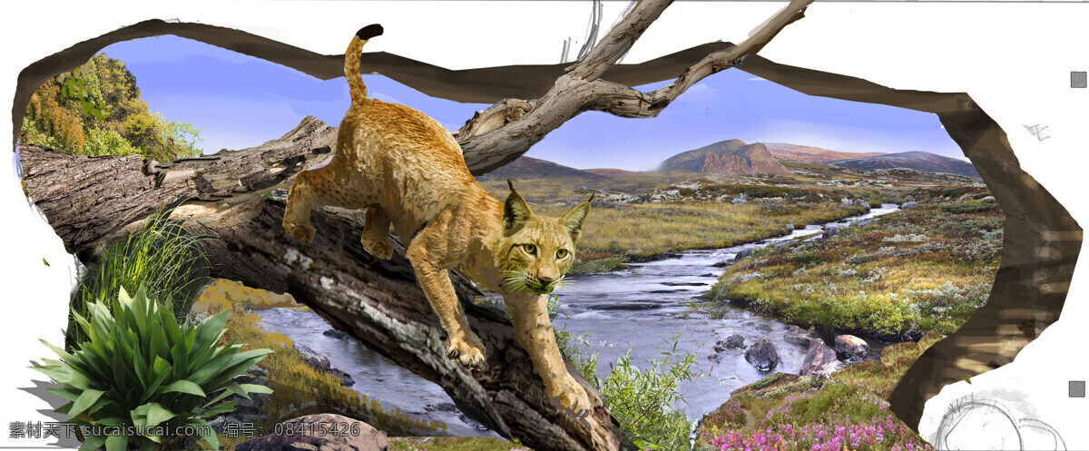 3d 画 老虎 猎豹 动物 3d画 豹子 展板模板
