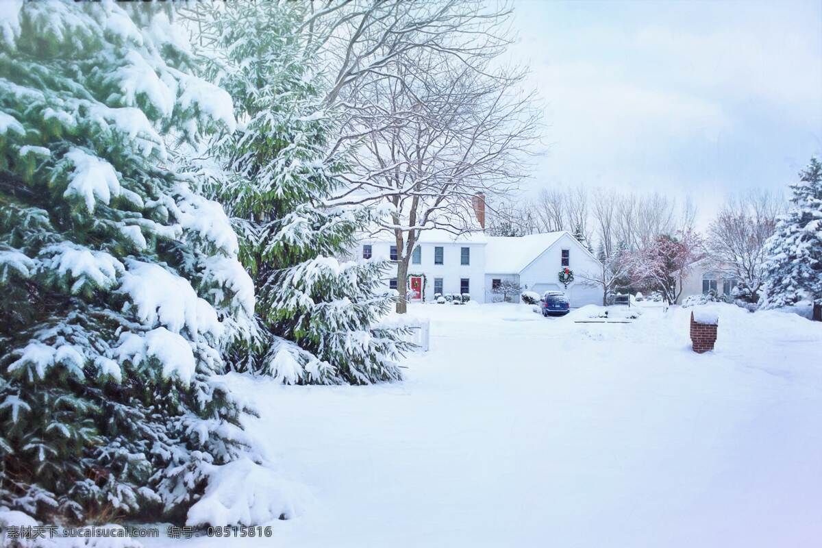 雪地雪屋 雪松 雪地 小屋 雪 树 自然景观 山水风景