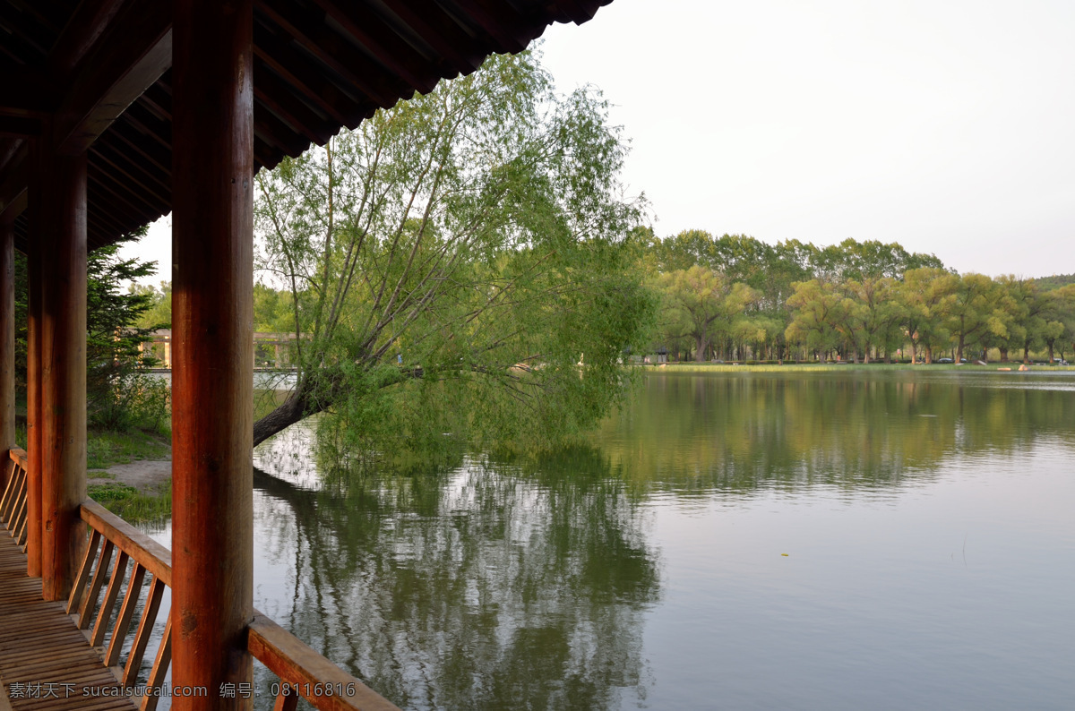 净月潭 国家森林公园 公园 公园风景 夏天 绿色 长廊 树木 倒影 水边 黄昏 夕阳 长春 山水风景 自然景观