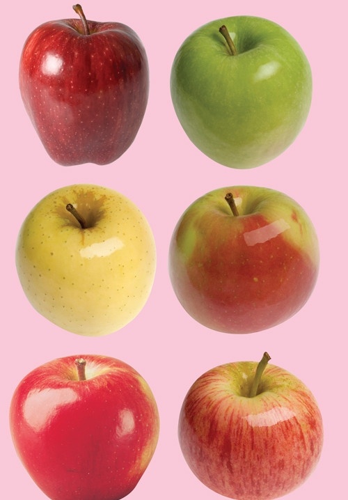 苹果 水果 蔬菜 8个苹果 红苹果 黄苹果 绿苹果 fruit apple apples 花 车 飞机 等素材集合 分层 源文件