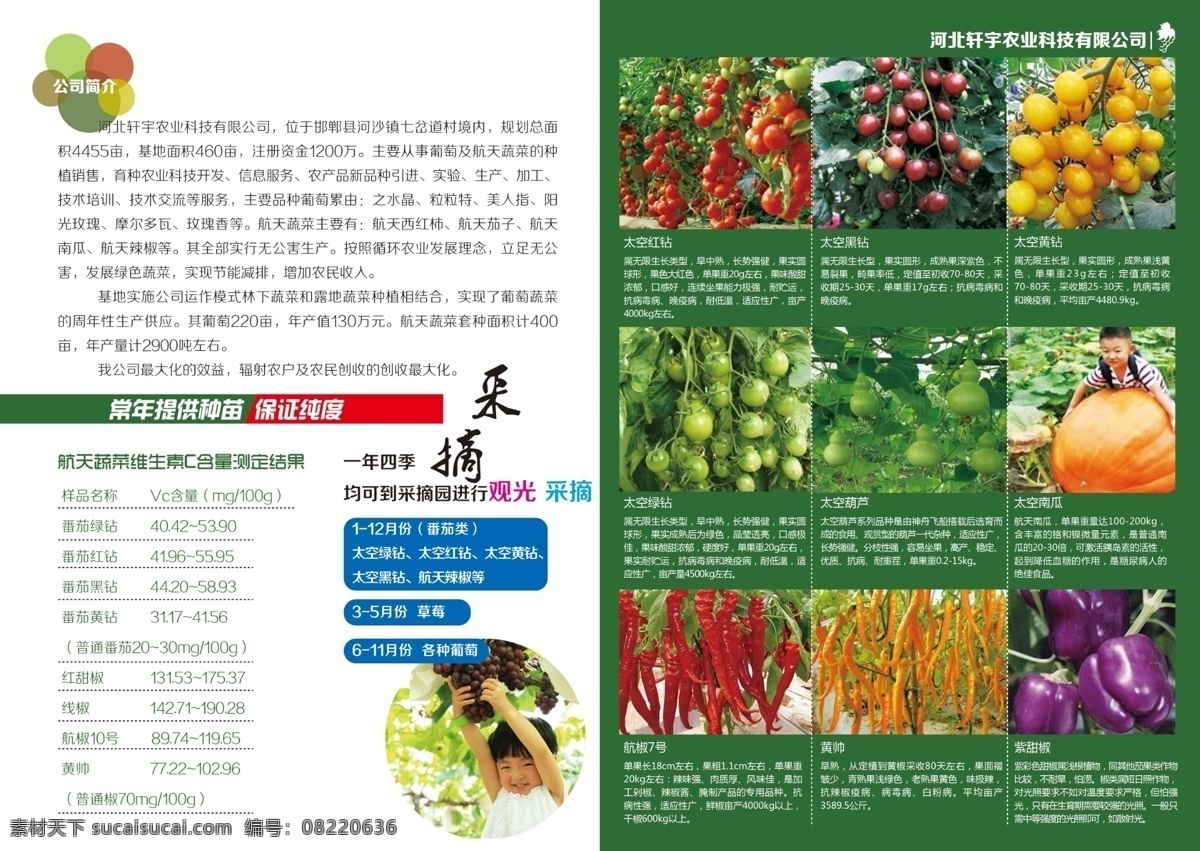 葡萄采摘 航天蔬菜 采摘园彩页 葡萄 采摘 太空红钻 黑钻 黄钻 绿钻 太空葫芦 太空南瓜 航椒7号 黄帅 紫甜椒