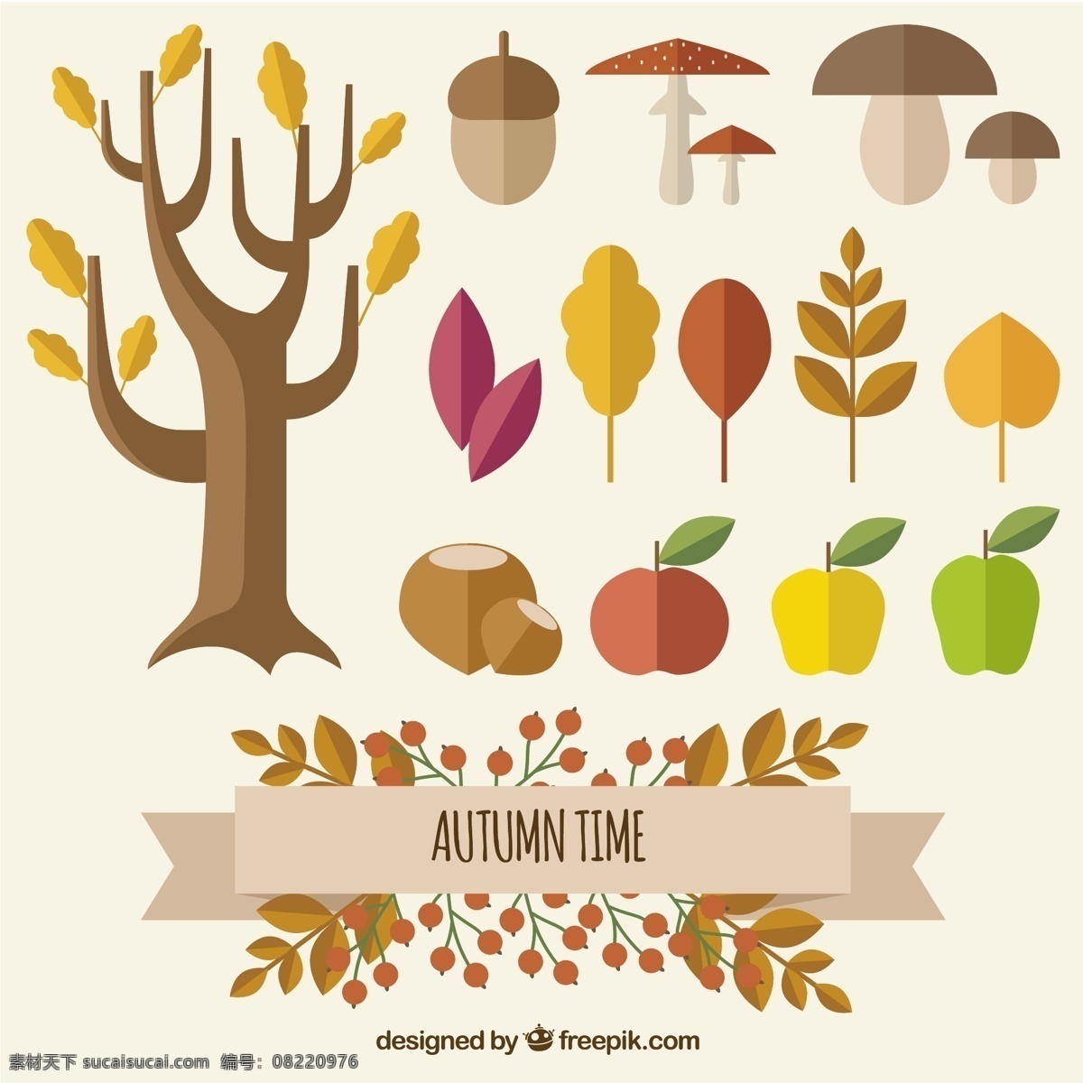秋天 时候 自然 树 叶子 苹果 水果 时间 蘑菇 秋天的落叶 季节 苹果树 苹果果实 植被 白色