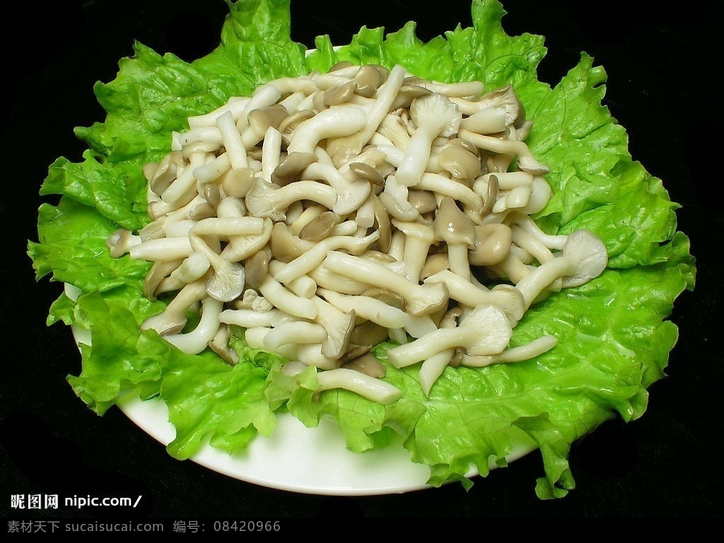 姬菇 真菌 野生 生菜 盘子 美味 食物 原料 餐饮美食 食物原料 摄影图库