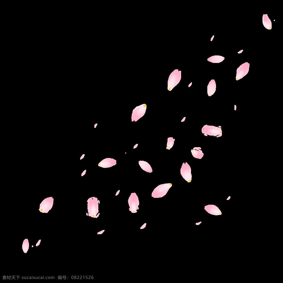 漂浮 花瓣 樱花 粉色 漂浮花瓣 樱花花瓣