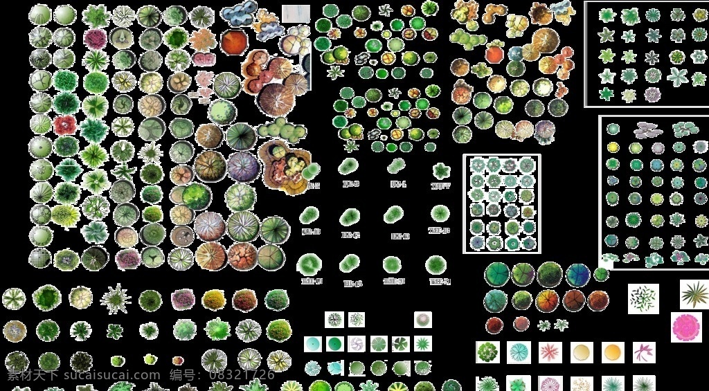 园林 植物 平面 彩图 园林植物 彩色植物图 平面植物图 平面素材 园林素材彩图