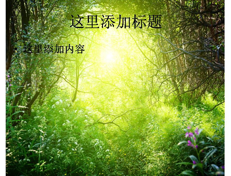绿光森林高清 风景 自然风景 模板 范文