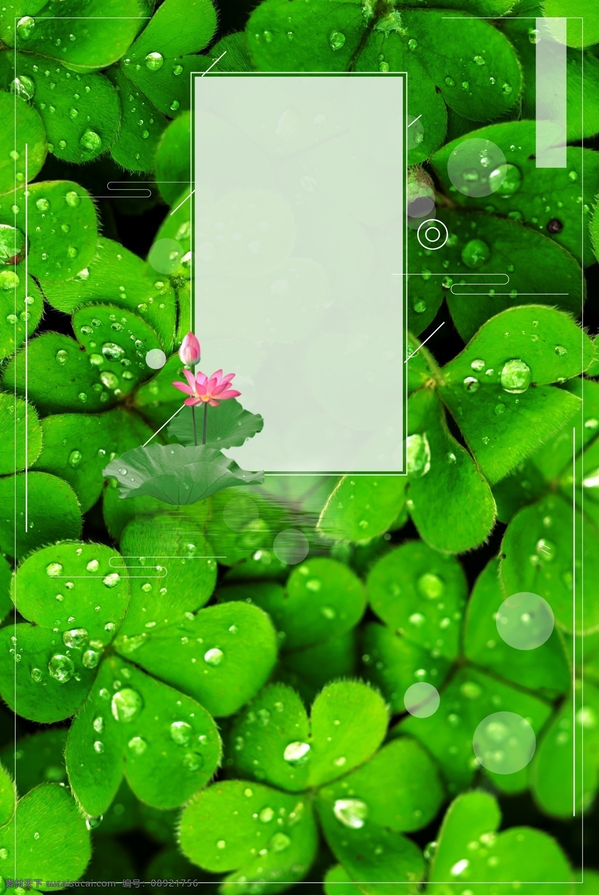 二十四节气 白露 背景 图 简约 小清新 海报 配图 创意 分层 新颖