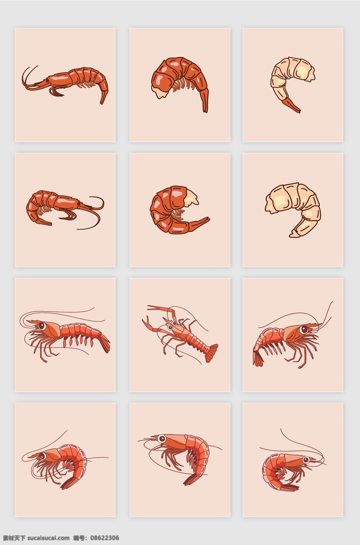 小龙虾 矢量 手绘 海鲜 插画 生物世界 海洋生物