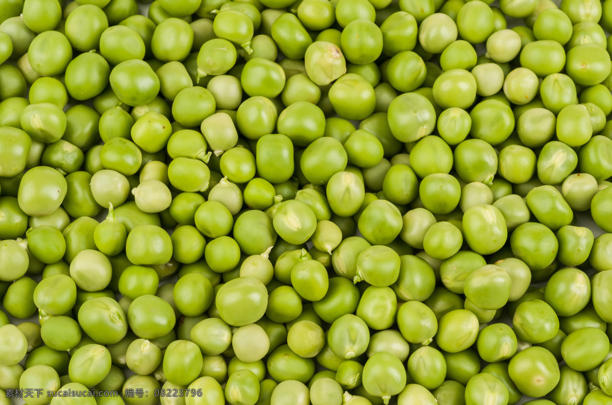 豌豆 背景图片 豌豆背景图片 豌豆背景 新鲜豌豆 新鲜蔬菜 豌豆摄影 水果蔬菜 餐饮美食 黄色