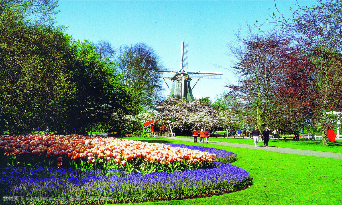 库 肯 霍夫 花园 荷兰 蓝天 绿树 鲜花 风车 游人 旅游摄影 国外旅游 摄影图库