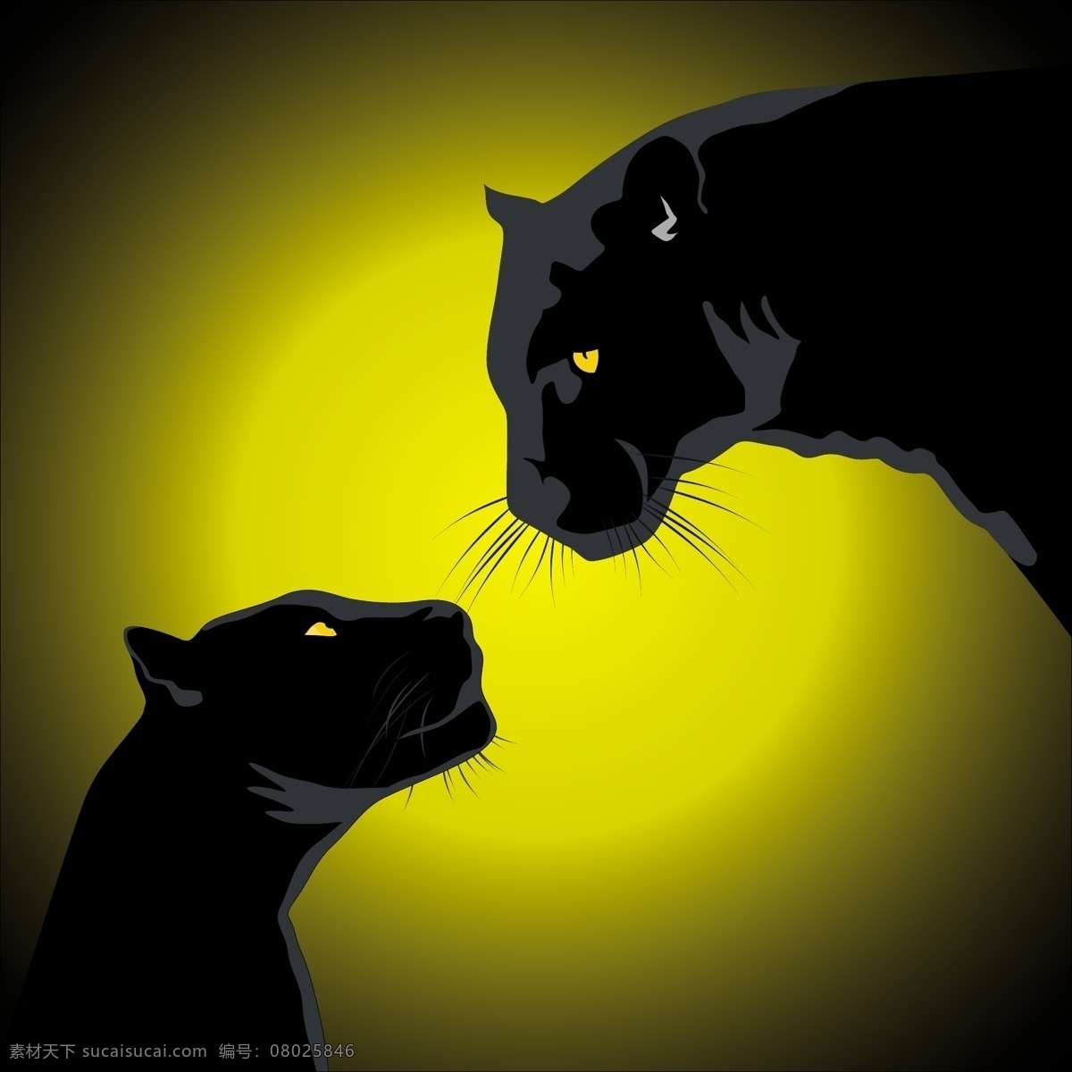夜间 两 黑豹 图标 矢量 背景 黑色猫 家庭 亨特捷豹 热带丛林 豹 爱 黑豹豹 捕食者