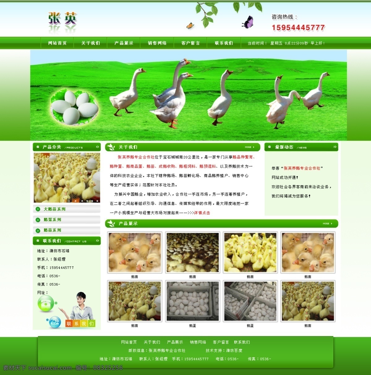 张英 养鹅 鹅 大鹅苗 鹅蛋 鹅苗 中文模板 网页模板 源文件