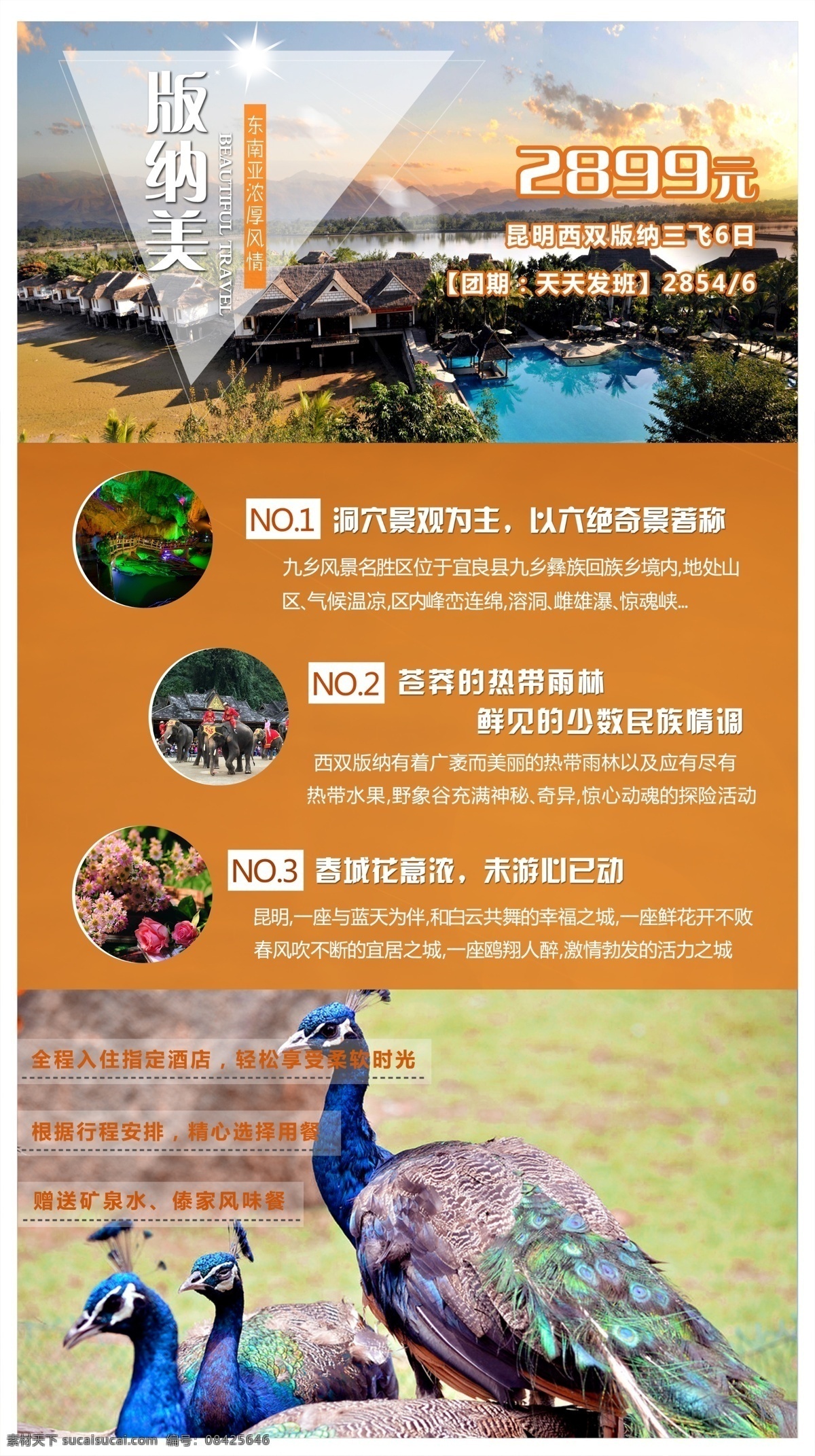 云南 西双版纳 旅游 广告 海报 云南旅游 旅游广告 广告图 橙色