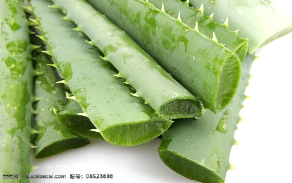 翠绿 绿色 绿色植物 美容spa spa用品 美容 spa 蜡烛 香薰 薰衣草 精油 毛巾 按摩石 鹅卵石 spa物品 美容素材 郁金香 美容用品 美体spa spa图 护肤 美体 美容护肤 美容养生 养颜 唯美 植物 自然 花 鲜花 花朵 花卉 芦荟植物 生物世界 花草