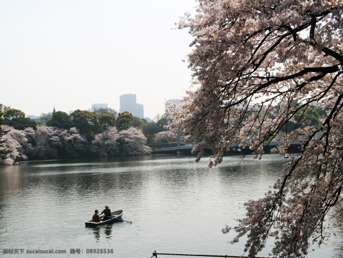 风景 公园 国外旅游 湖水 花木 楼房 旅游 旅游摄影 千 鸟 渊 千鸟渊 日本 千鸟渊风光 树木 樱花树 樱花 游艇 游人 天空 日本风光2 生活 旅游餐饮