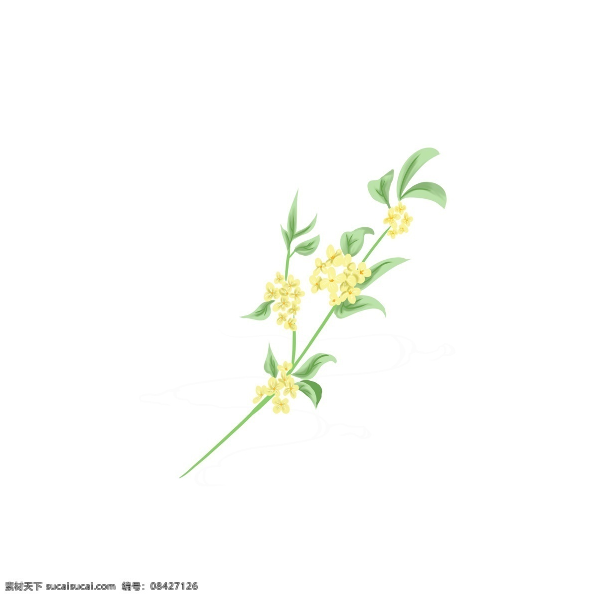 手绘 秋分 节日 整枝 桂花 中国风 节日元素