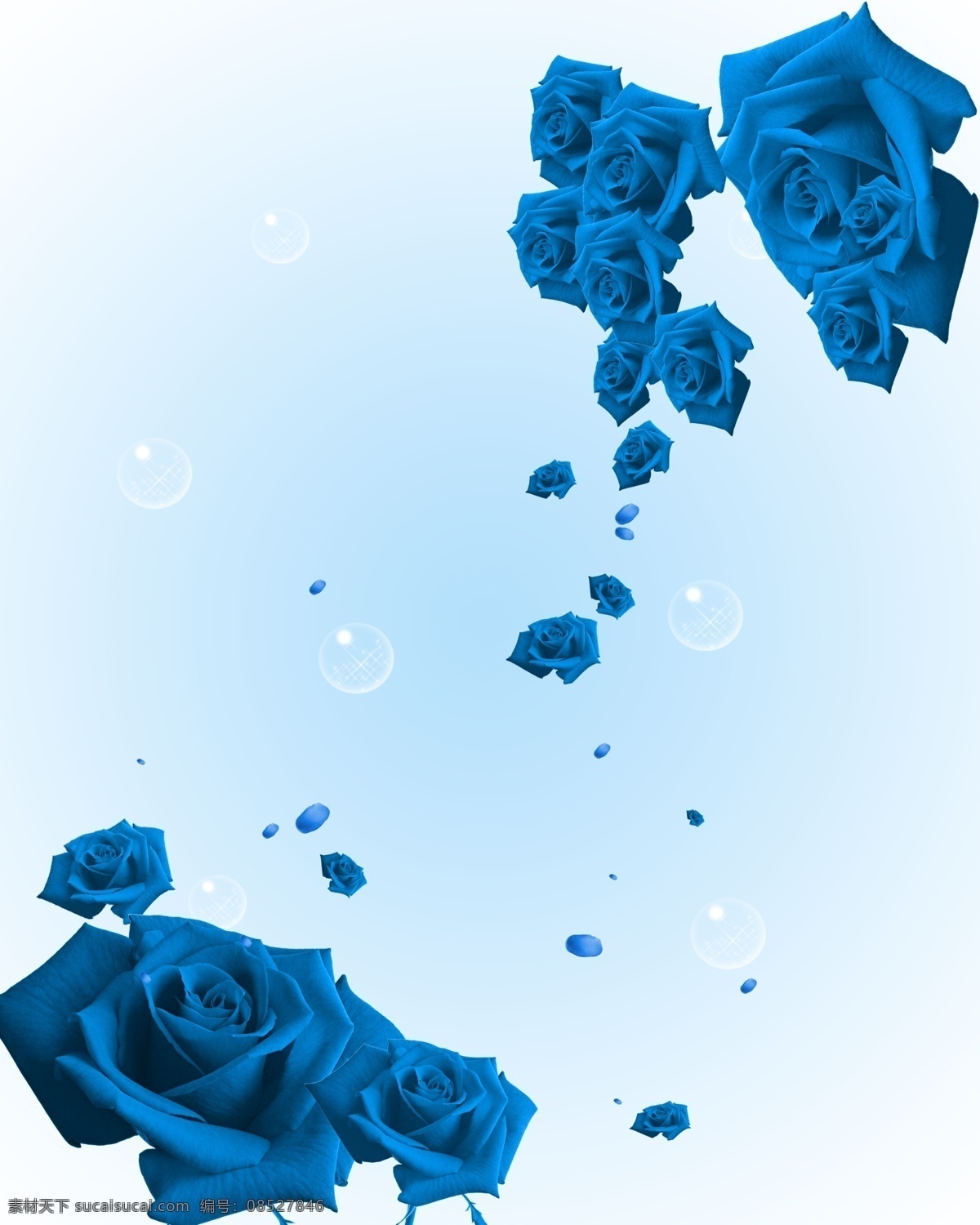 蓝玫瑰图片素材-编号05811077-图行天下