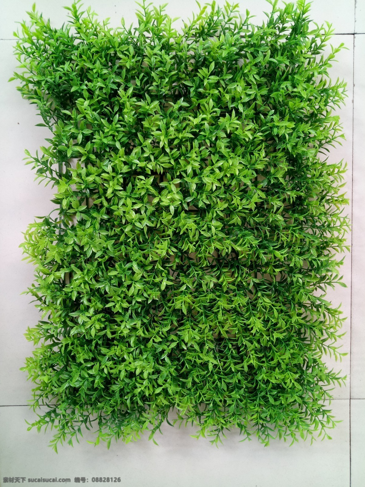 绿植墙 植被墙 绿叶墙 绿植墙素材 植物墙素材 植物墙背景 园林绿化 立体绿化 立体花坛 草坪