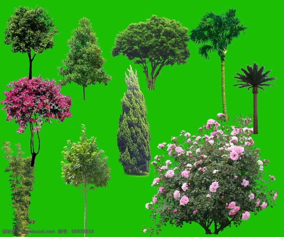 树 景观植物 景观 植物 分层树 绿化 绿化树 观赏树 观赏 绿化带 花 分层花 绿化花 观赏花 景观花 盆景 分层盆景 绿化盆景 观赏盆景 景观盆景 盆栽 分层盆栽 绿化盆栽 观赏盆栽 景观盆栽 小树 分层绿化树 分层景观树 分层景观花 分层绿化盆栽 分层景观盆景 分层绿化带 分层绿化