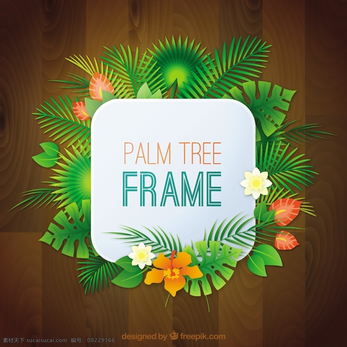 热带装饰框 框架 树 夏季 模板 树叶 自然 热带 植物 棕榈树 环境 棕榈 装饰 棕榈叶 天堂 树干 异国情调