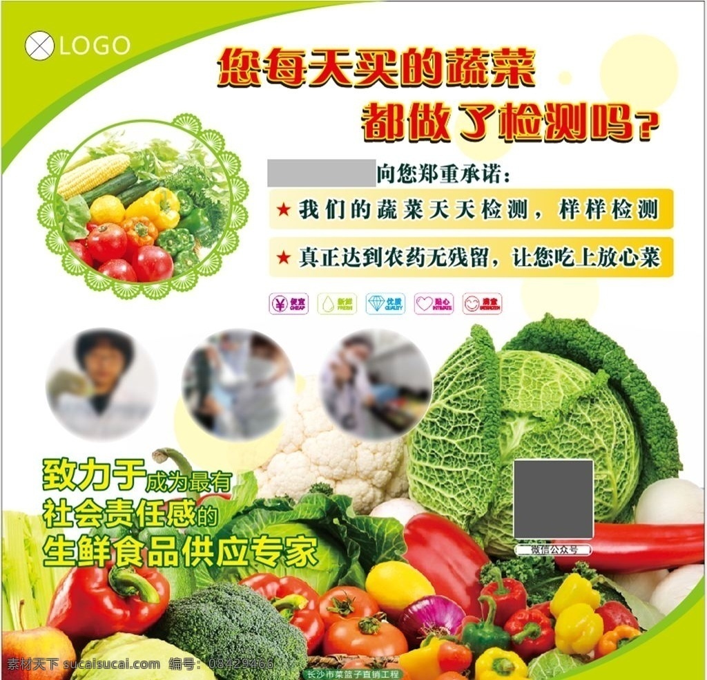 蔬菜 检测 宣传画 蔬菜检测 农残检测 农残 蔬果农残宣传 橱窗广告 生鲜 农药残留 放心蔬菜