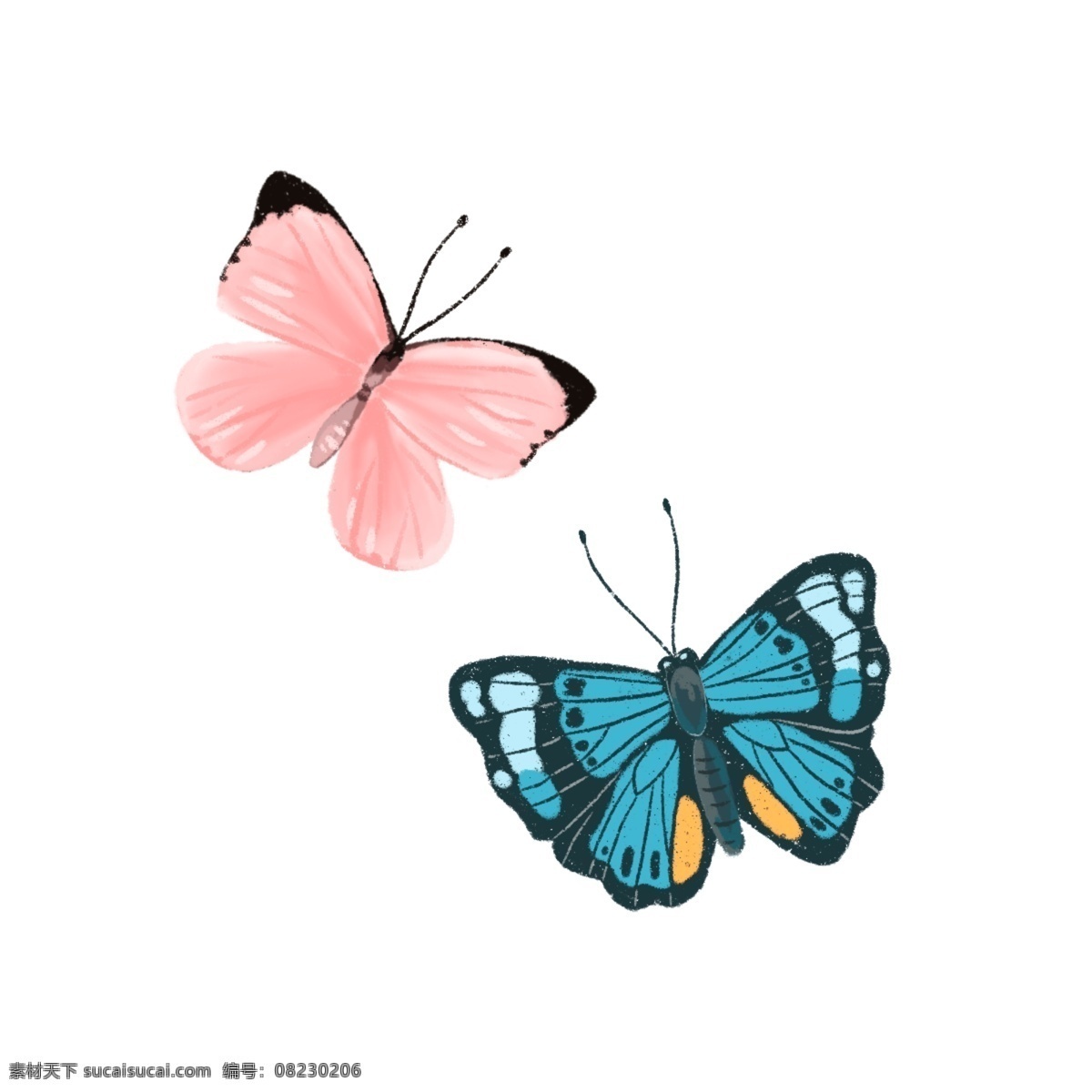 两 只 手绘 蝴蝶 彩蝶 粉色 蓝色 动物 飞行 卡通 触角 破茧化蝶 成双成对 翩翩起舞