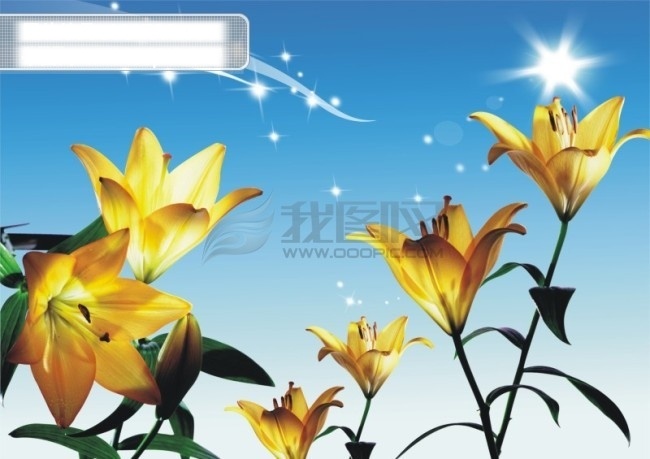 金色 百合花 白云 蓝天 星光 阳光 郁金香 矢量图 其他矢量图