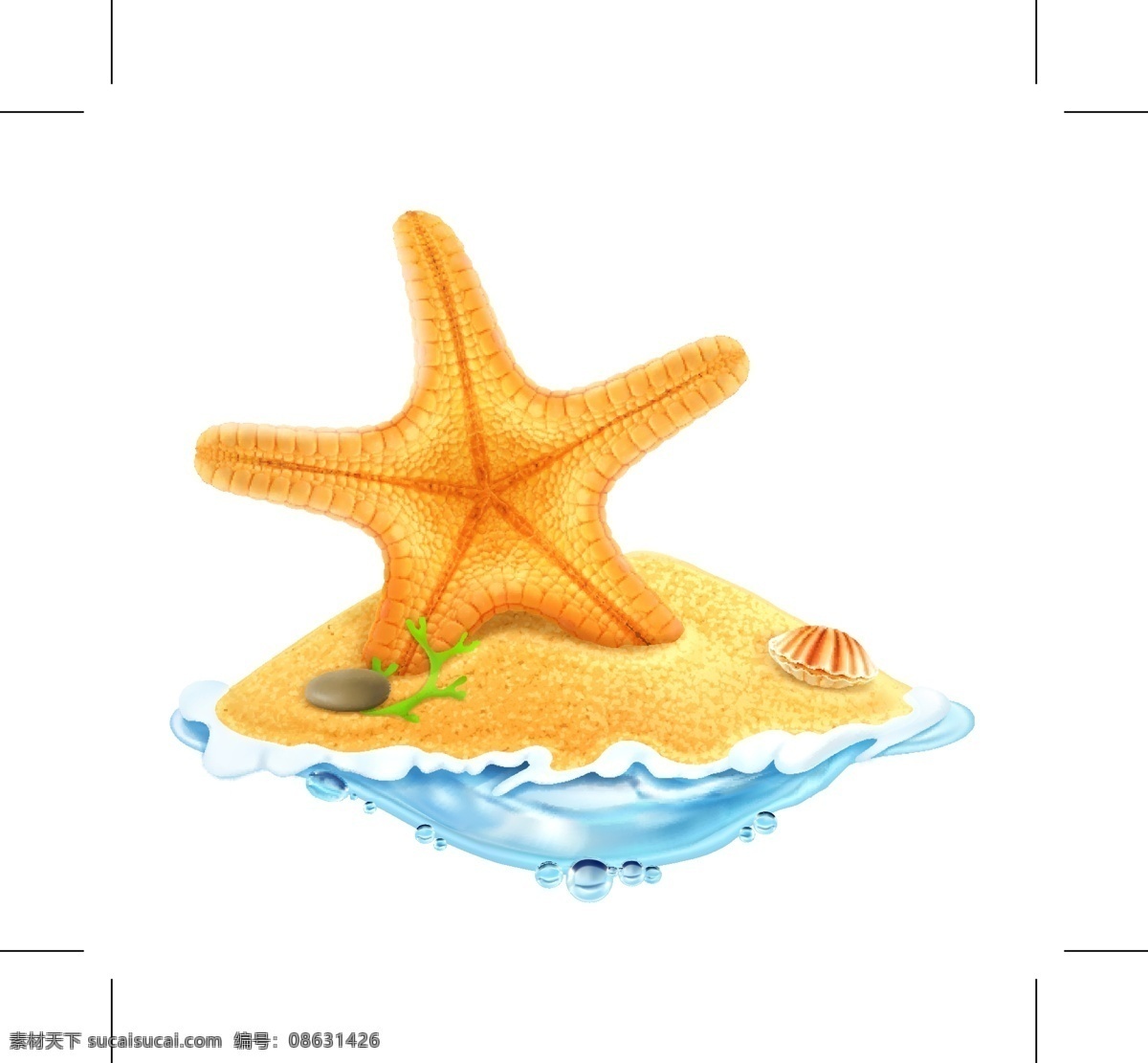 精美 海星 矢量 海草 贝壳 鹅卵石 沙滩 大海 夏季 扇贝 矢量图
