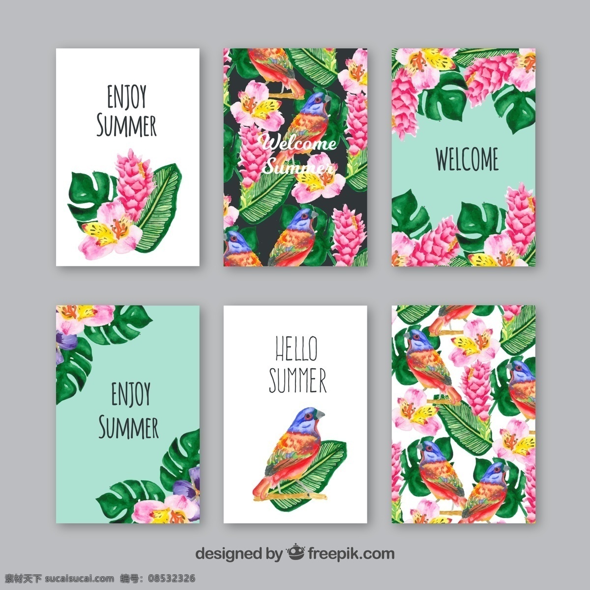 款 彩绘 夏季 热带 花草 卡片 矢量 热带花草 矢量素材