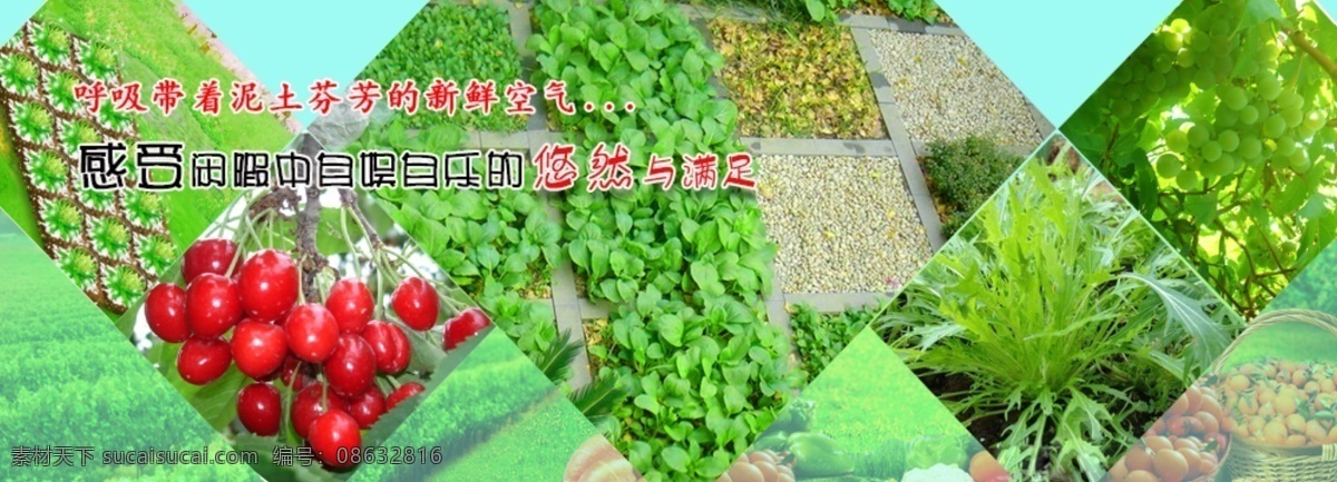 绿色 园林 网站 横幅 花木 网页设计素材 网站横幅图片 绿色园林 版本 设计图 原创设计 原创网页设计