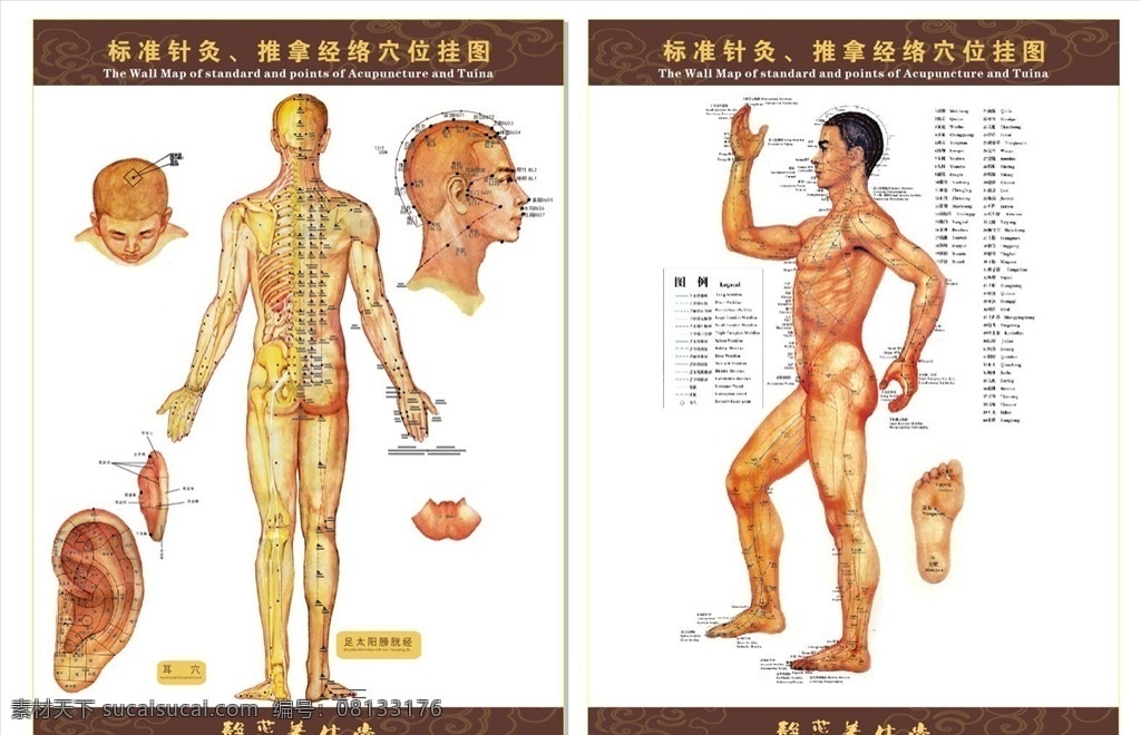 针灸 穴位 大全 图 人体认识 推拿经络穴位 养生堂