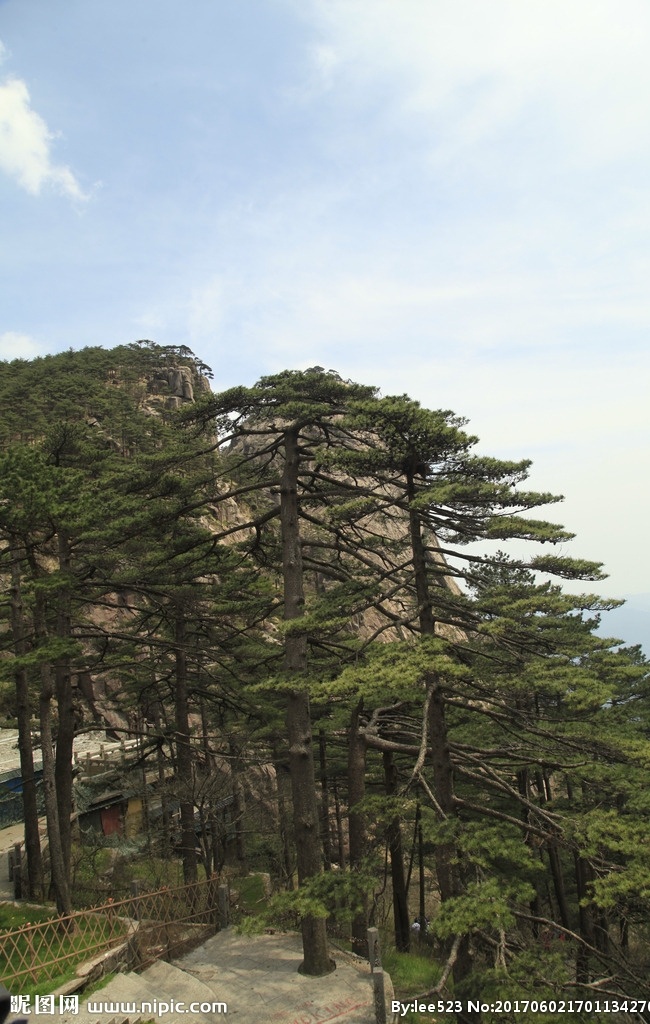 黄山 自然风光 景色 大好河山 奇峰 怪石 晴空万里 蓝天白云 壮阔 大气 松树 旅游 奇石 怪松 安徽黄山 黄山风景 安徽风景 安徽风光 黄山风光 黄山美景 徽州之旅 风景名胜摄影 自然景观 旅游摄影 国内旅游