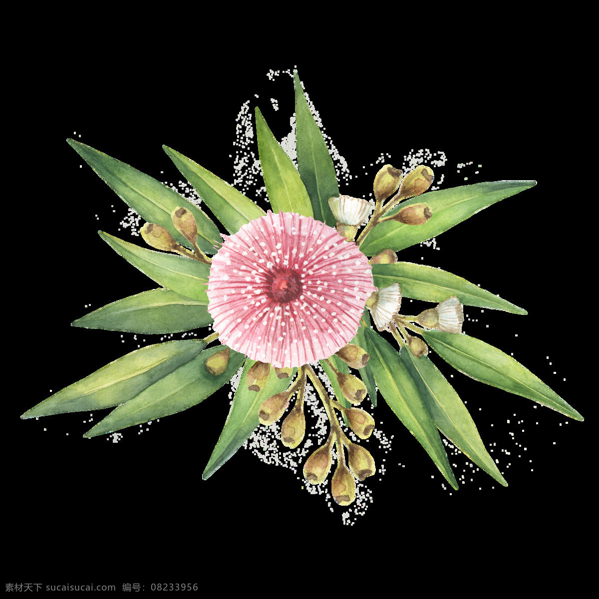鲜花 绿叶 简约 透明 美丽 时尚 装饰